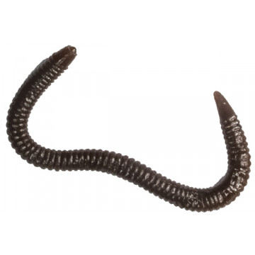 Мягкие приманки LureMax GARDEN WORM 4''/10см, LSGW4-018 Worm Brown (20 шт.)