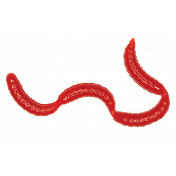 Мягкие приманки LureMax MAGGOT 0,5''/1см LSMG05B-019 Blood Red (банка)