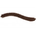 Мягкие приманки LureMax RAG WORM 3''/7см, LSRW3-018 Worm Brown (10 шт.)