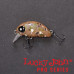 Воблер плавающий LJ Pro Series HAIRA TINY F 03.30/505 Shallow Pilot